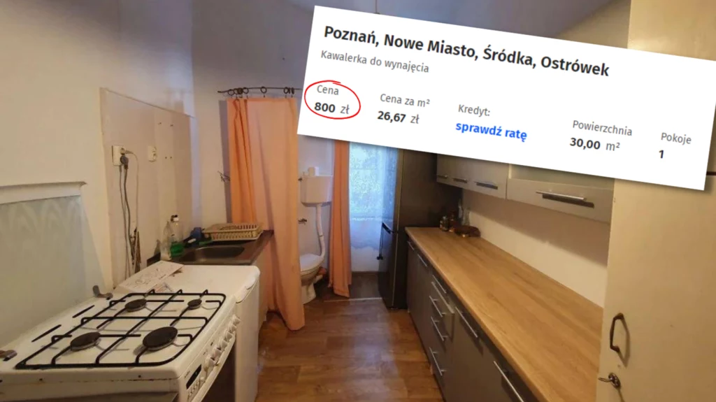 Kawalerka w Poznaniu kusi ceną za wynajem Kawalerka w Poznaniu kusi ceną za wynajem