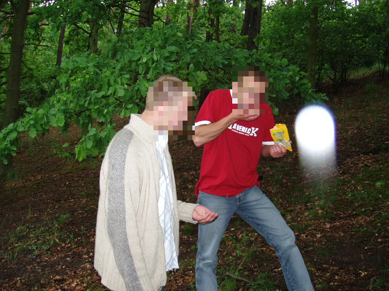 Niezwykłe kule pojawiające się na zdjęciach są przeważnie uznawane za błędy fotograficzne / zdjęcie: Fundacja Nautilus Niezwykłe kule pojawiające się na zdjęciach są przeważnie uznawane za błędy fotograficzne / zdjęcie: Fundacja Nautilus