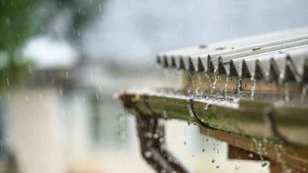 ​Robisz to z deszczówką na swojej posesji? Grozi ci 10 tys. kary