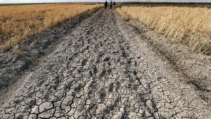 Europa cierpi z powodu suszy 