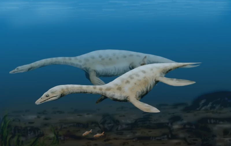 Plezjozaury mogły żyć w słodkich wodach takich jak jezioro Loch Ness