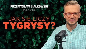 Przemysław Białkowski podcast: Tygrysy