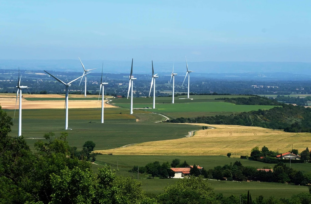W Puszczy Tarnowskiej ma stanąć farma wiatrowa. Przeciwni są lokalni mieszkańcy i przyrodnicy 