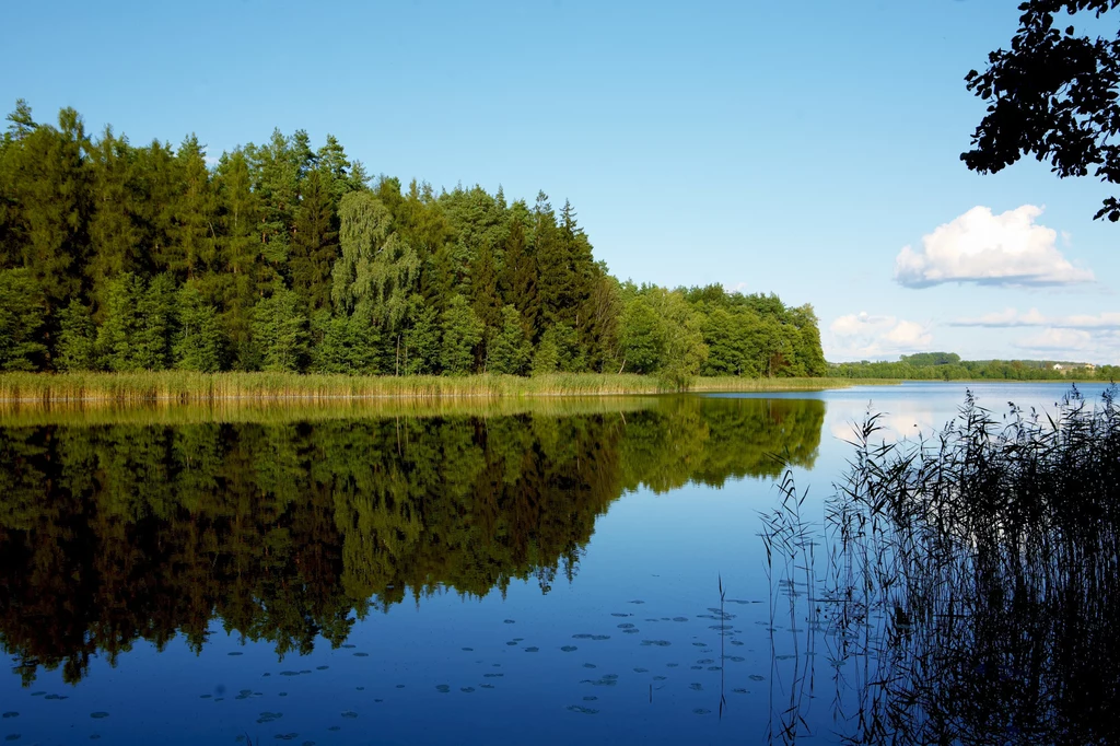 Hańcza to najgłębsze jezioro w Polsce