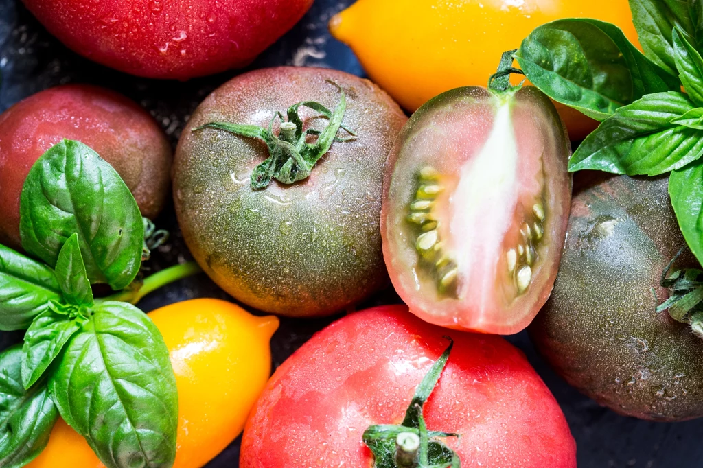 Zielone pomidory zawierają najwięcej toksycznej tomatyny, dlatego nie nadają się do jedzenia na surowo. Świetnie natomiast nadają się do duszenia bądź smażenia - obróbka termiczna neutralizuje szkodliwe substancje