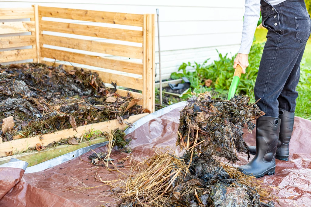 Kompost z resztek roślin to doskonały wspomagacz dla roślin uprawianych w przydomowym ogrodzie. Jak go zrobić i stosować?