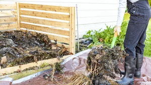 Jak zrobić kompost z resztek roślin? Warto go mieć w ogrodzie
