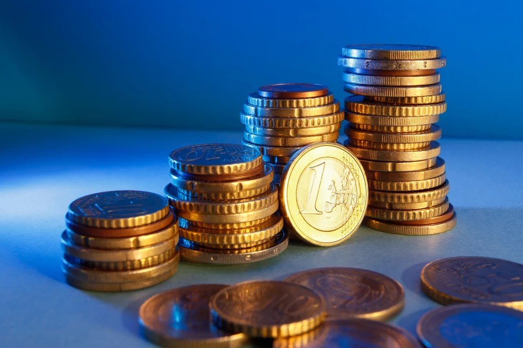 Czy w dobie inflacji warto wejść do strefy euro?