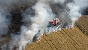 Pożar zbóż; zdj. ilustracyjne 