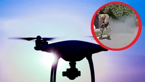 Miny-pułapki zrzucane z dronów? Nowy sposób walki z "orkami"