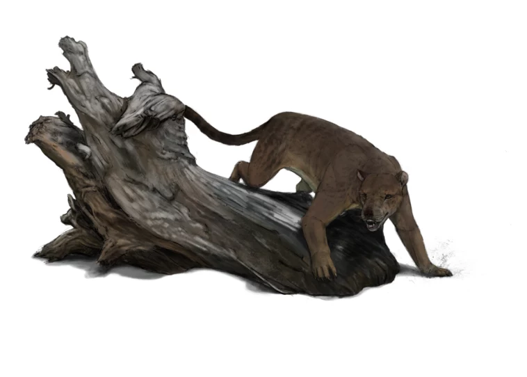 Prehistoryczny niedźwiedziopies odnaleziony we Francji ważył około 200 kilogramów