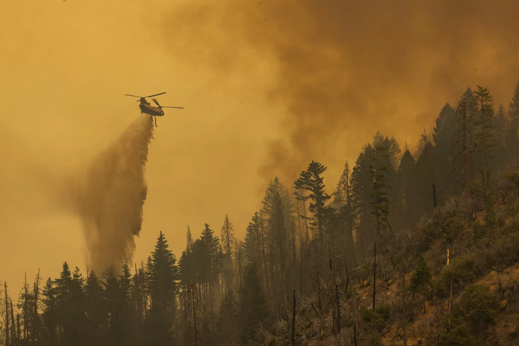 Pożary pochłaniają domy i lasy