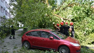 Ubezpieczyciele narzekają na gwałtowny wzrost szkód spowodowanych zjawiskami pogodowymi. Zdj. ilustracyjne