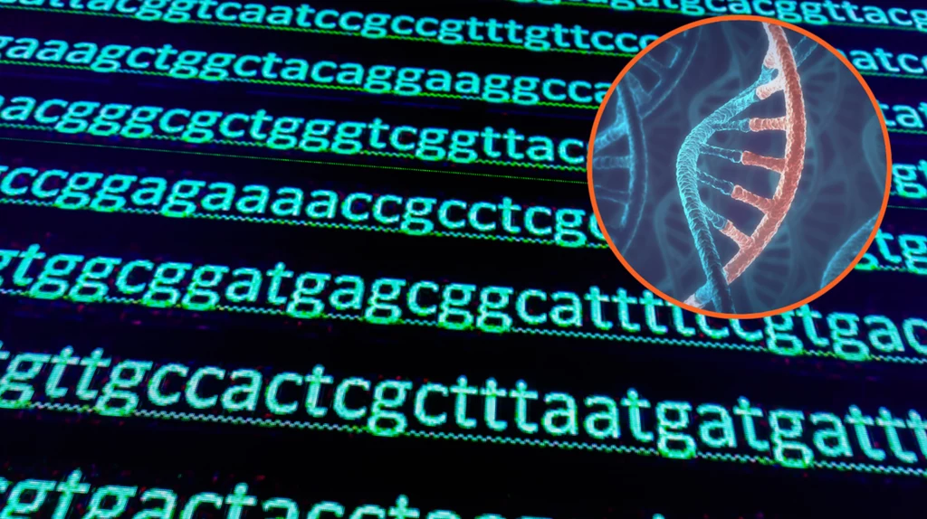 Mobilne laboratorium DNA pozwoli na weryfikacje zbrodni wojennych dokonywanych w Ukrainie