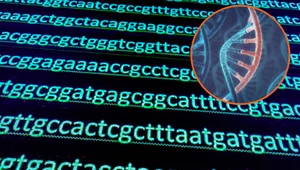 Ukraińcy dostali mobilne laboratorium analizujące DNA, które pozwoli ścigać rosyjskich zbrodniarzy wojennych