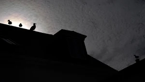 Kominiarze, inspektorzy środowiska i urzędnicy gminni skontrolują nasze nieruchomości 