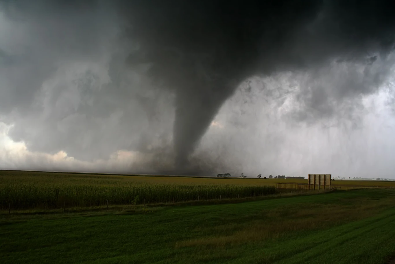 Tornado ma płączenie z chmurą deszczową Cumulonimbus oraz powierzchnią gruntu