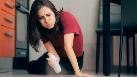 Co przyciąga pająki do naszych domów? Na to warto zwrócić uwagę