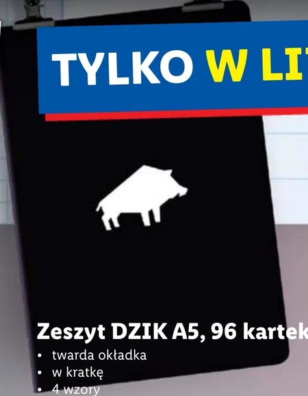 Zeszyt Dzik
