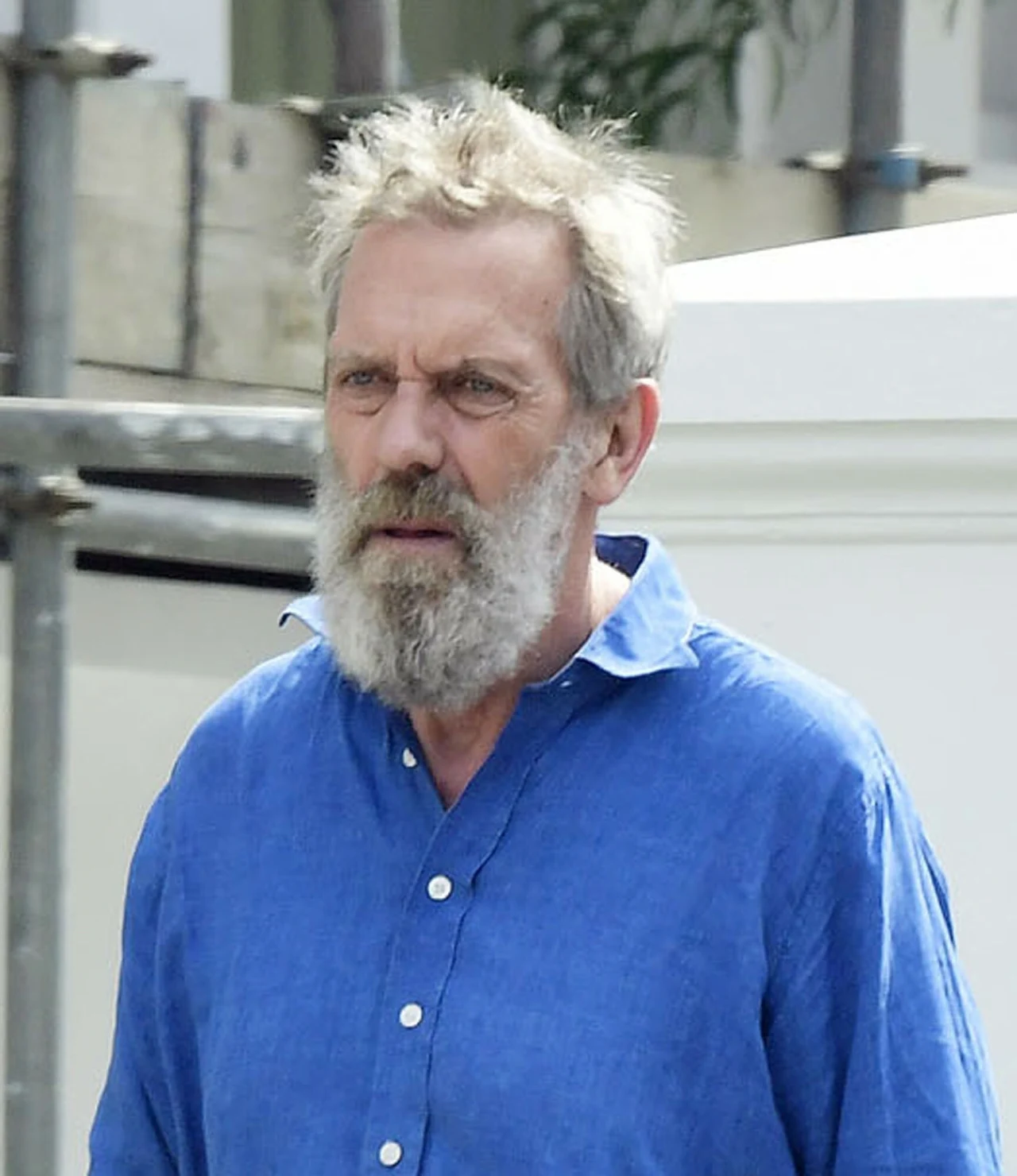Hugh Laurie na spacerze z psem w Londynie 