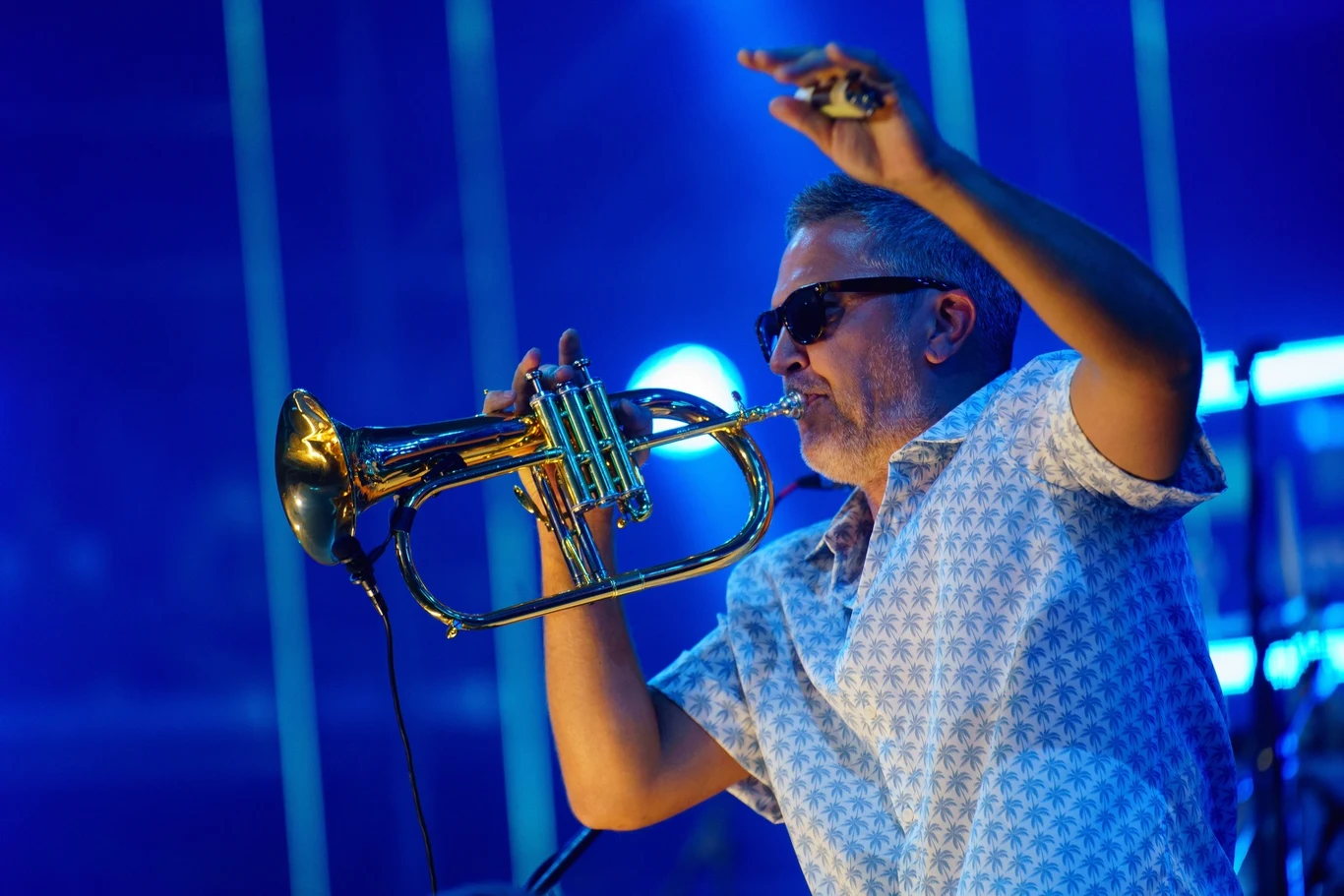 Fun Lovin' Criminals