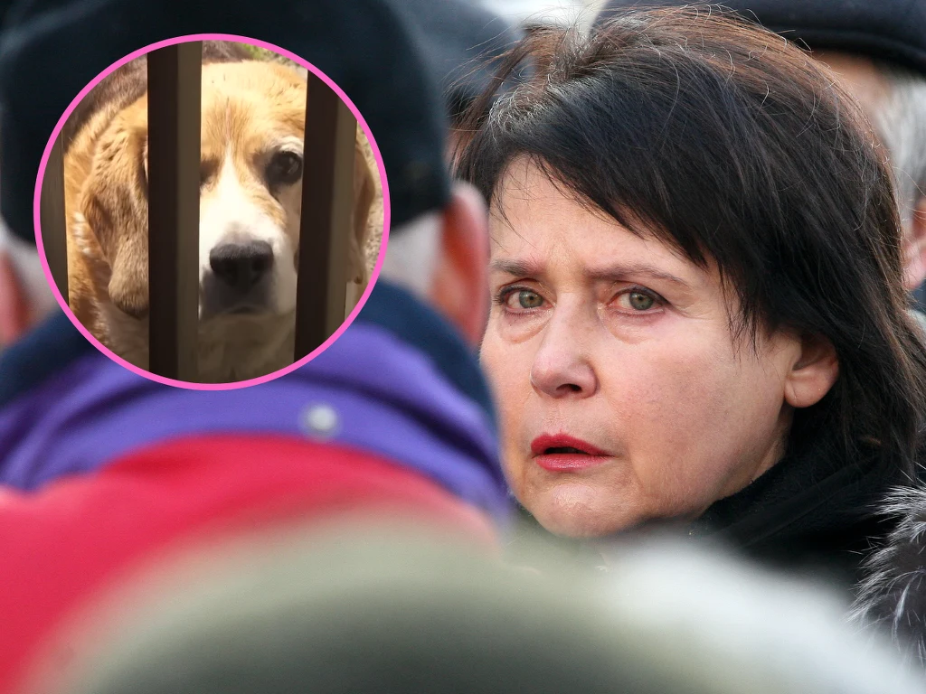 Elżbieta Jaworowicz