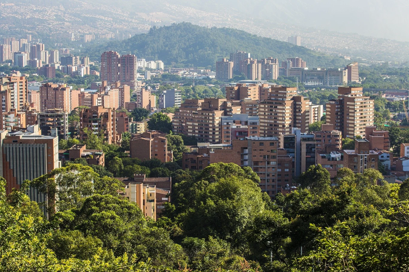 W kolumbijskim Medellin jest coraz więcej zieleni, która ma obniżyć temperaturę miasta