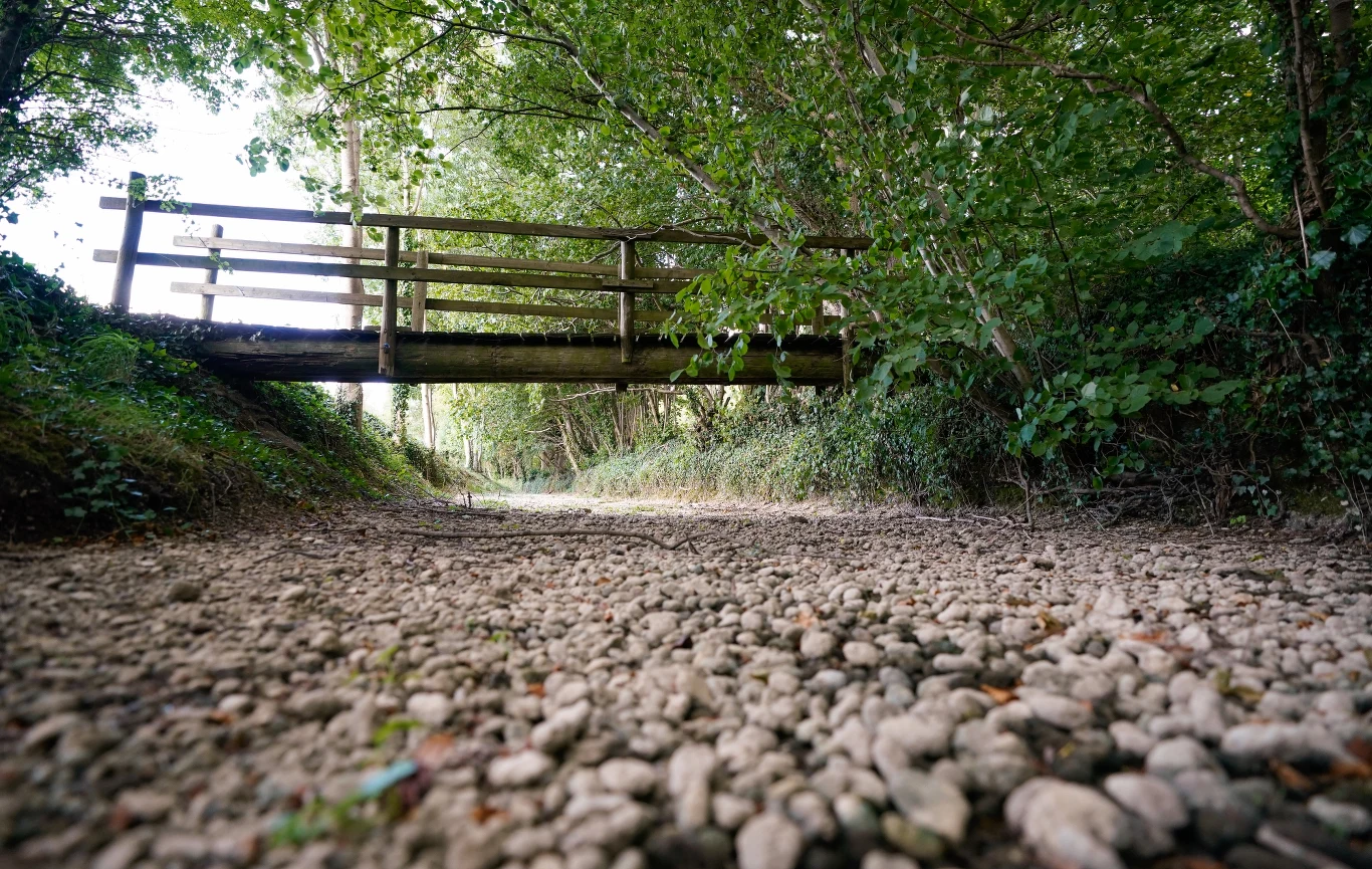 Koryto rzeki Tamizy u jej źródeł niedaleko Somerford Keynes w hrabstwie Gloucestershire całkowicie wyschło - alarmują brytyjskie media