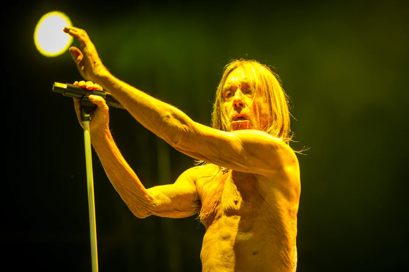 Iggy Pop podczas OFF Festivalu