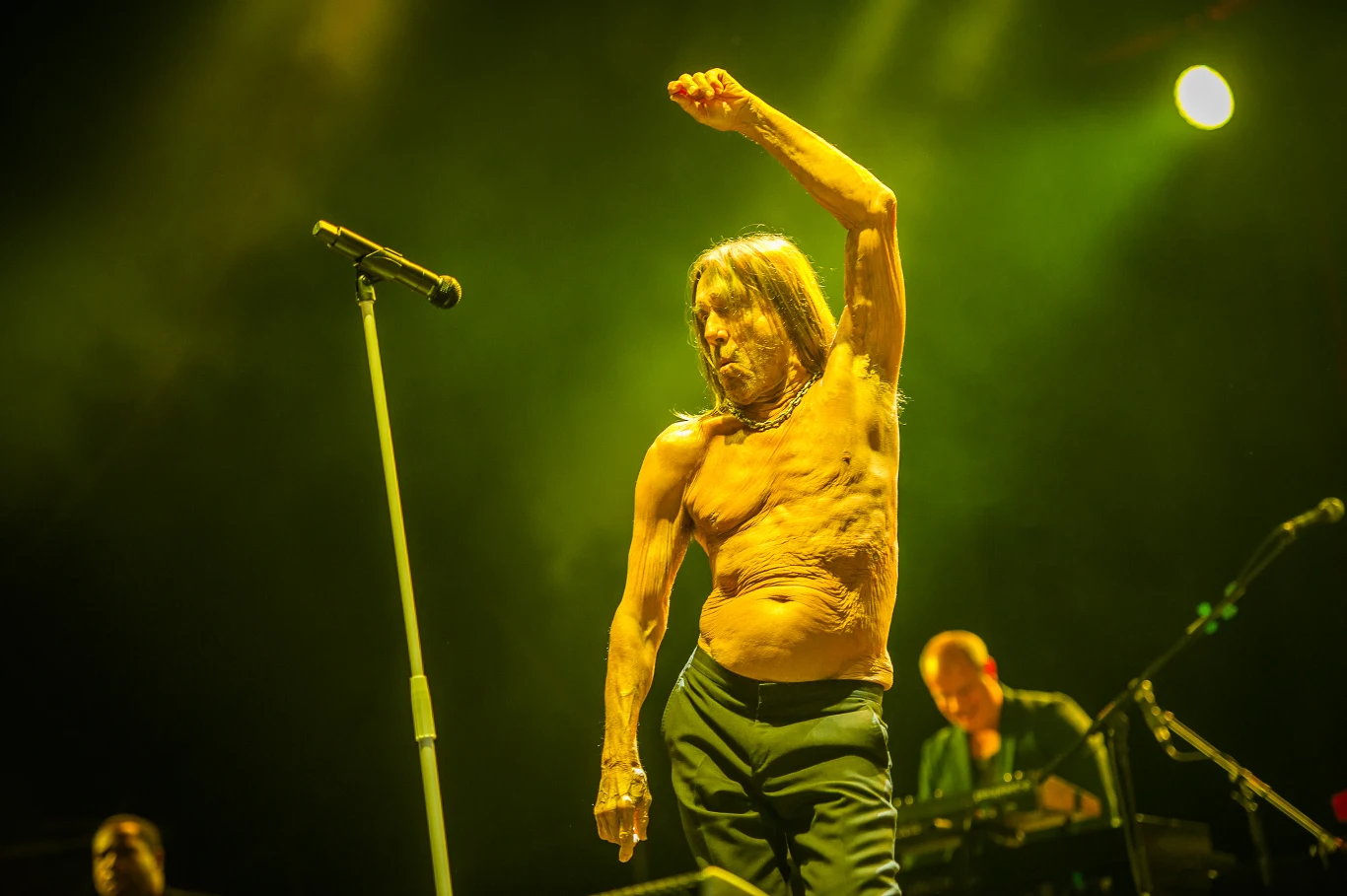 Iggy Pop podczas OFF Festivalu