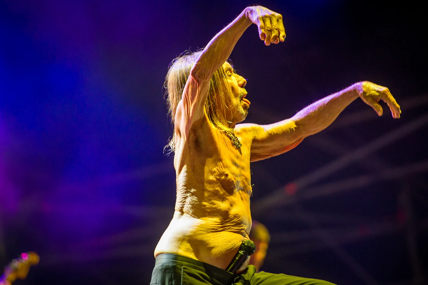 Iggy Pop podczas OFF Festivalu