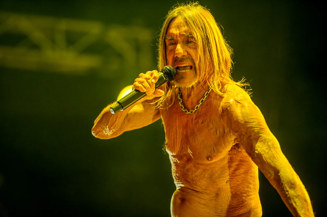 Iggy Pop podczas OFF Festivalu
