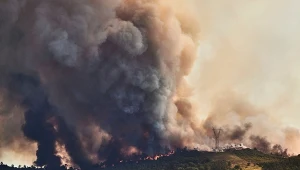 Pożary szaleją w Portugalii już od lipca. Na zdjęciu ogień w miejscowości Mafra