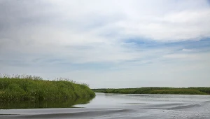 Narew, zdj. ilustracyjne 