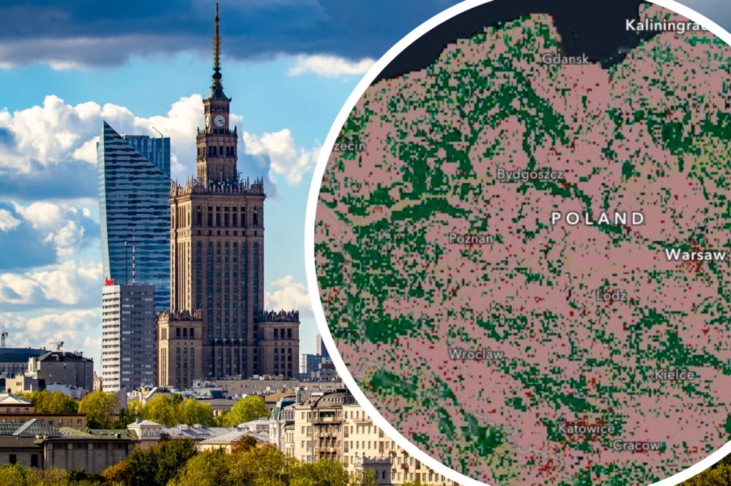 W przyszłości mocno zmniejszy się liczba terenów zielonych w okolicach dużych miast - miedzy innymi Warszawy