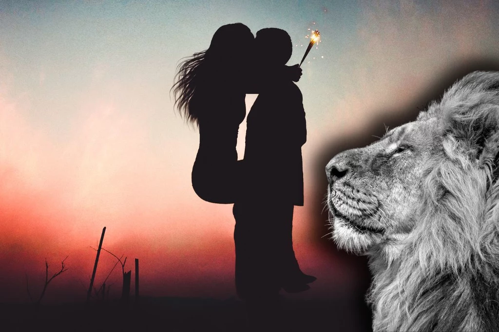 Wolne Lwy mają szansę na nową romantyczną znajomość