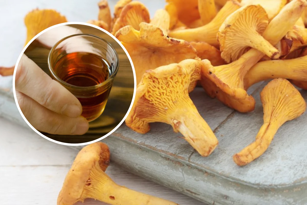 Zalej świeże grzyby wodą i spirytusem. Uzyskasz domowy lek na odrobaczenie organizmu Zalej świeże grzyby wodą i spirytusem. Uzyskasz domowy lek na odrobaczenie organizmu