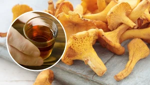 Zalej świeże grzyby wodą i spirytusem. Uzyskasz domowy lek na odrobaczenie organizmu