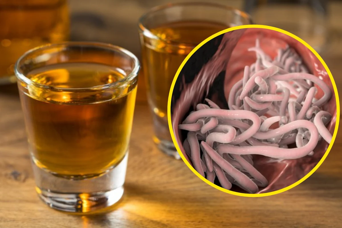 Pij łyżkę codziennie przed snem. Pożegnasz przykre dolegliwości Pij łyżkę codziennie przed snem. Pożegnasz przykre dolegliwości