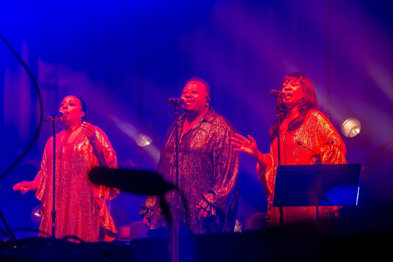 Zobacz zdjęcia z koncertu grupy Nick Cave and the Bad Seeds w Ergo Arenie (Gdańsk/Sopot)!