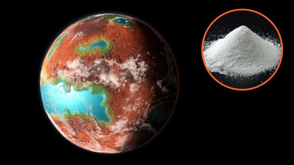 Kluczem do powstania i utrzymania życia na planecie może być sól