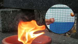 Znicz/ Fot. East News, AFP.