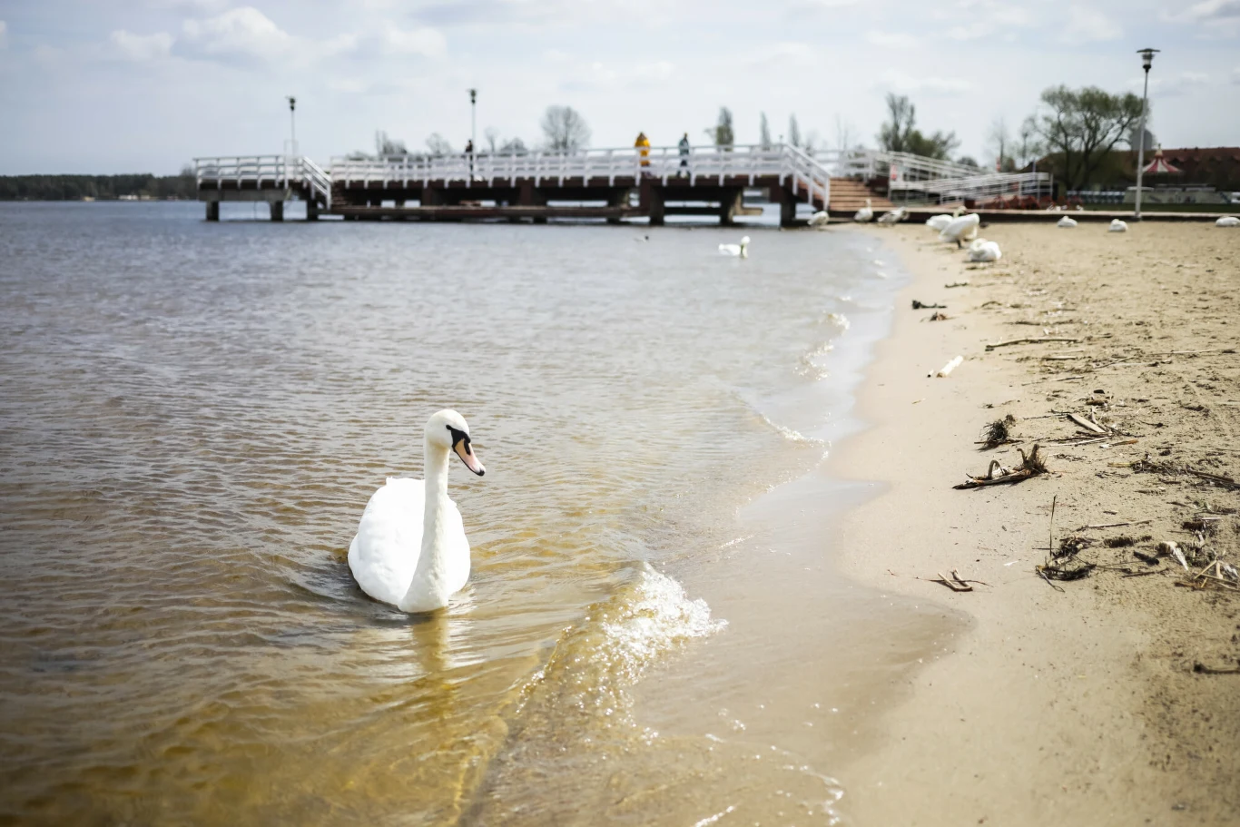 Dzika Plaża w Nieporęcie Dzika Plaża w Nieporęcie