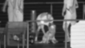 Policja wszczęła śledztwo ws. możliwego znęcania się nad psem