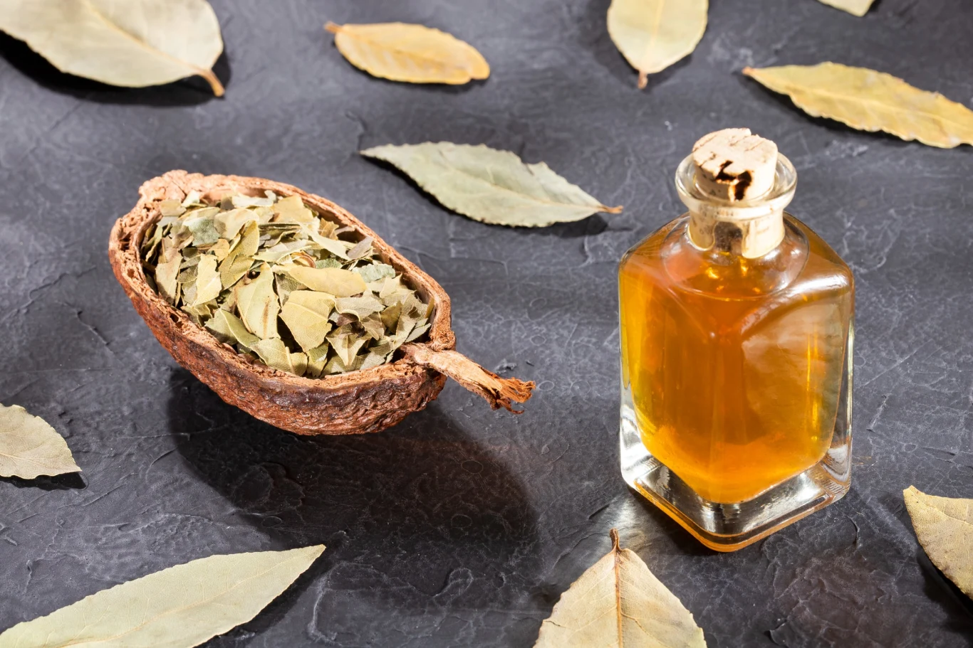 Olejek z liścia laurowego zadziała przeciwbólowo na chore stawy, ale również zlikwiduje zaskórniki i pomoże wyleczyć trądzik
