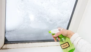Zastosuj ten trik podczas mycia okien. Zapomnisz o pożółkniętych ramach 