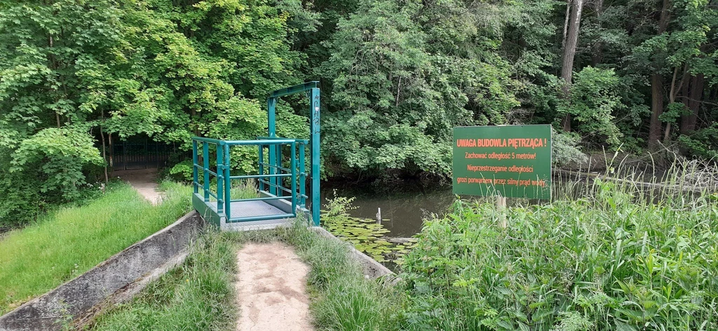 Zastawka w rezerwacie przyrody Morysin w Wilanowie wyremontowana w ramach projektu "Szuwar Warszawski"