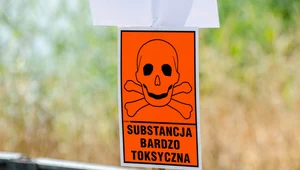 W Odrze zidentyfikowano m.in. silnie toksyczny rozpuszczalnik, który trafił do rzeki w dużych ilościach. Sprawę bada prokuratura we Wrocławiu.