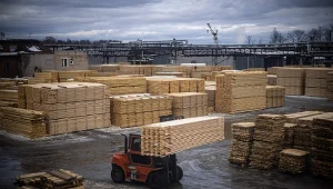 Gigantyczne zyski branży drzewnej 
