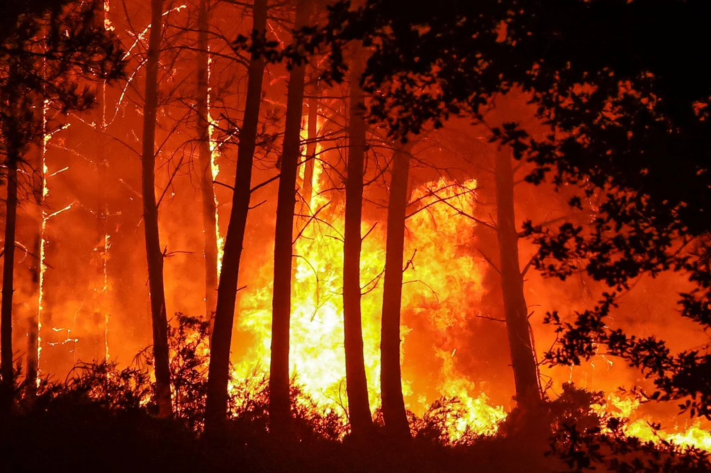 Akcję gaśniczą bardzo utrudnia fala upałów, nasilającą się w ostatnich dniach. W czwartek w wielu miejscach temperatura ma sięgnąć 40 stopni Celsjusza. Akcję gaśniczą bardzo utrudnia fala upałów, nasilającą się w ostatnich dniach. W czwartek w wielu miejscach temperatura ma sięgnąć 40 stopni Celsjusza.
